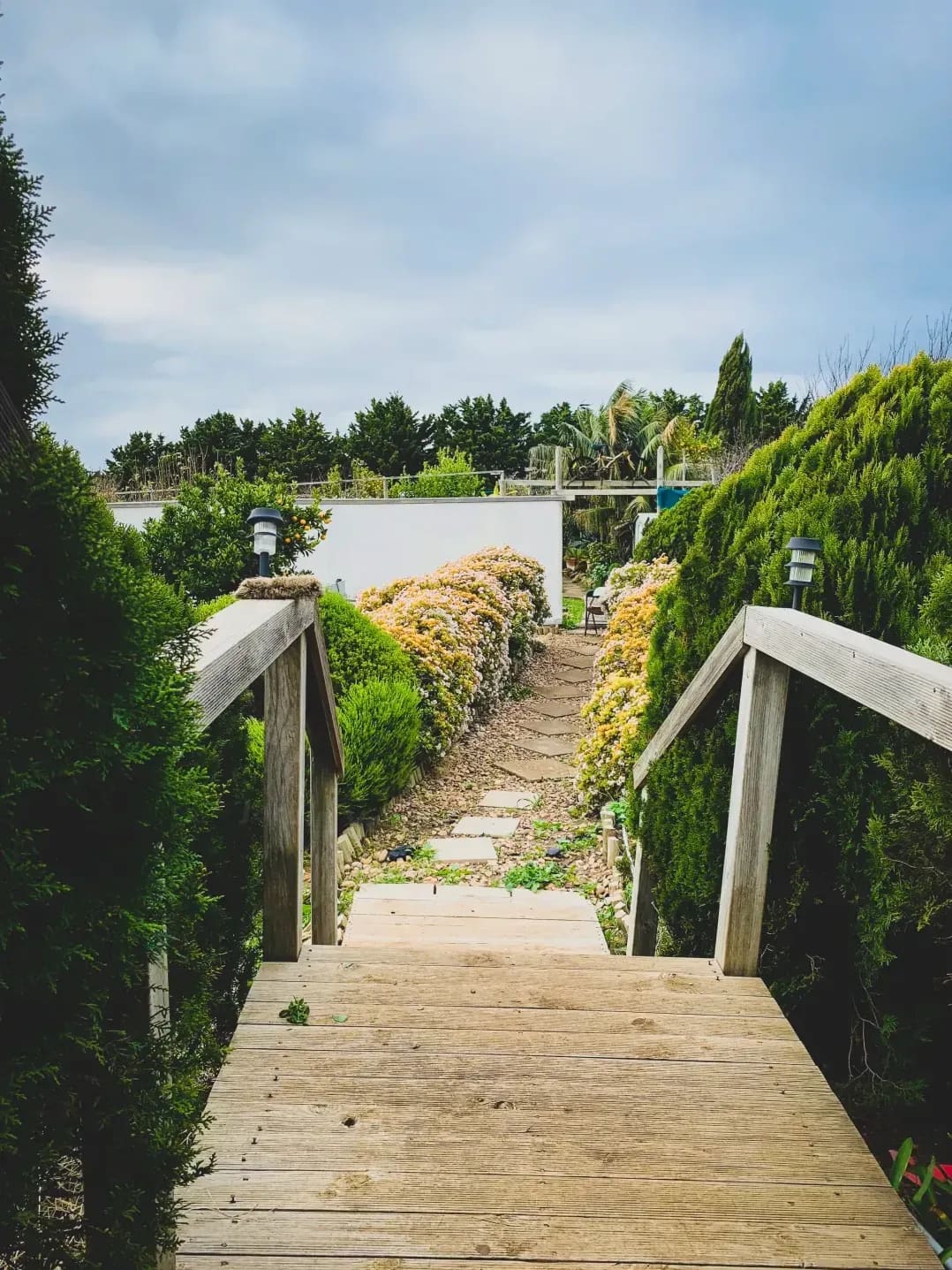 Jardin Vert Rive Gauche