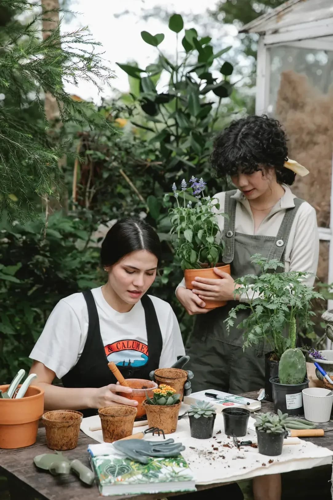 Réorganisation d’un entretien saisonnier pour un jardin de copropriété